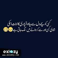 In this post, we are sharing with you a collection of beautiful love poetry in urdu with images. The Best 30 Funny Urdu Quotes Jokes Of All Time Exlazy
