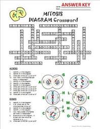 Mitosis Crossword With Diagram Editable Mitosis Paperless Classroom Interactive Science Notebook