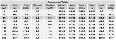 subsonic ammunition discreet ballistics