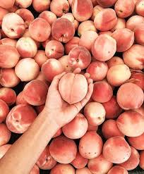 How To Pick The Right Ripe Produce Goop En 2020 Nourriture Esthetique Peche Fruit Photographie De Fruit