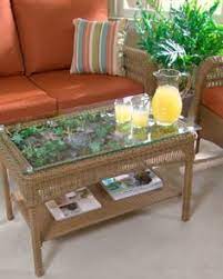 Showcase a world of your own with this refreshing display cocktail table. 12 Terrarium Coffee Tables Ideas Terrarium Table Terrarium Succulents