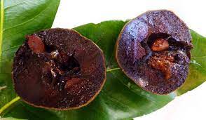 Maybe you would like to learn more about one of these? Black Sapote Tree