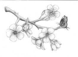 Cherry Blossoms By Solie Solie Deviantart Com On Deviantart Pencil Drawings Of Flowers Flower Drawing Tree Drawings Pencil