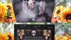 Beacon Book Box Special Edition Double Feature Unboxing Youtube