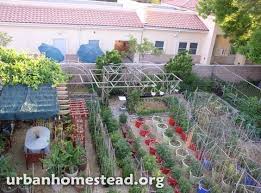 Birdies Raised Garden Beds Review Untitled Urban Homestead Photo Gallery Urban Garden Urban Homesteading Farm Gardens