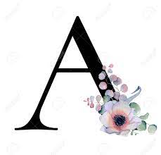 89 colorful floral alphabet letter k clip art images on gograph. Floral Watercolor Alphabet Monogram Initial Letter A Design With Hand Drawn Peony And Anemone Flower And Black Panther For Wedding Invitation Cards Logos Stock Photo Picture And Royalty Free Image Image 101737283