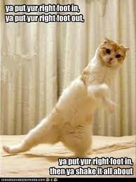 Attack Of The Funny Animals 35 Pics Funny Animals Funny Animal Pictures Funny Pictures