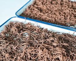 走进黑土地深处- 苏里南中华日报