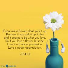13 march 2015 08:55:09 pm. If You Love A Flower Don Quotes Writings By The Beloved Osho Yourquote