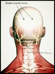 Pin On Pillows For Neck Pain