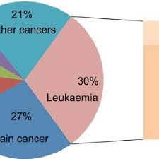 What child care arrangements need to be made for other children in the family? Main Types Of Childhood Cancers The Ideogram Shows The Different Download Scientific Diagram