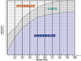 43 comprehensive sheltie puppy growth chart