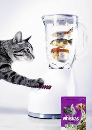 Whiskas Senior Cat Food Fishmixer Small 40427 Jpg 600 850 Pet Advertising Creative Advertising Advertising