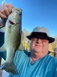 Transferring fish to a new pond with too many bass