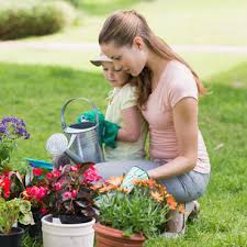 Apply online & get low rates! Mortgage Refinance Options Loan Refinancing Rate Quotes Pennymac