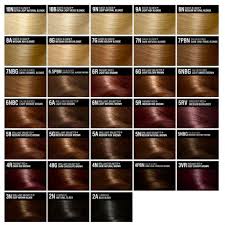 Hair Color Chart Garnier Www Bedowntowndaytona Com