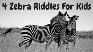 You might be called this animal if. Animal Riddles Riddles For Kids