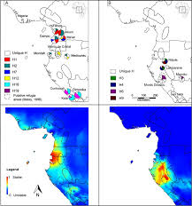 Image result for Afrostyrax kamerunensis