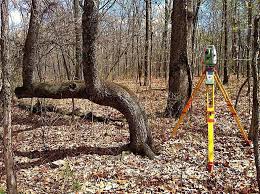 Land Surveyors Joplin Mo Stewart Neece