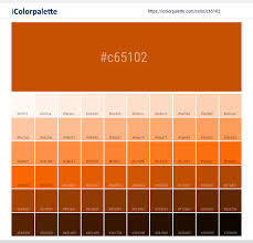 Orange looks good with nearby colors, such as red and yellow and it teams well with its complementary color blue, as well as violet. Hex Color Code C65102 Dark Orange Color Information Hsl Rgb Pantone