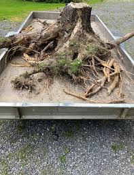 Image result for site:byggahus.se fällning