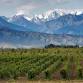 Explore: Argentina - Chelmsford event image