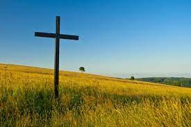 How to use field in a sentence. Green Crosses In German Fields A Form Of Silent Protest Stripes Europe