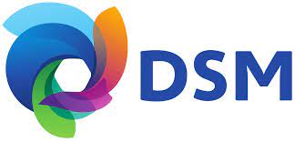 Check spelling or type a new query. File Royal Dsm Svg Wikimedia Commons