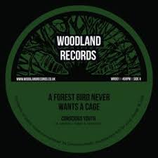 Stream Earth by Freddy Locks