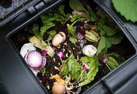 Sure, many species of thrips are truly a pest and not benefiting the plants we are trying to grow. How To Make Compost At Home Planet Natural