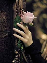 Onvert any jpg to word. 33 Ù…Ø§Ø³ÙƒØ© Ø¨ÙŠØ¯ÙŠ Ø§Ù„ÙˆØ±Ø¯Ø© Ideas ÙˆØ±Ø¯ ØµÙˆØ±Ø© Ø²Ù‡Ø±Ø©
