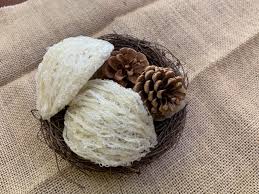 GỬI YẾN SÀO ĐI MỸ NHANH CHÓNG 