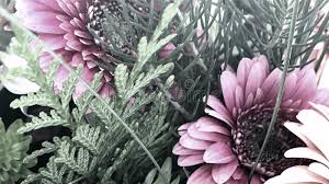 77 2048x1152 youtube wallpapers on wallpaperplay. 407 Youtube Banner Photos Free Royalty Free Stock Photos From Dreamstime