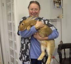 20,489 likes · 30 talking about this · 814 were here. Avian And Exotic Medical Center Dr Goodman Aston Pa