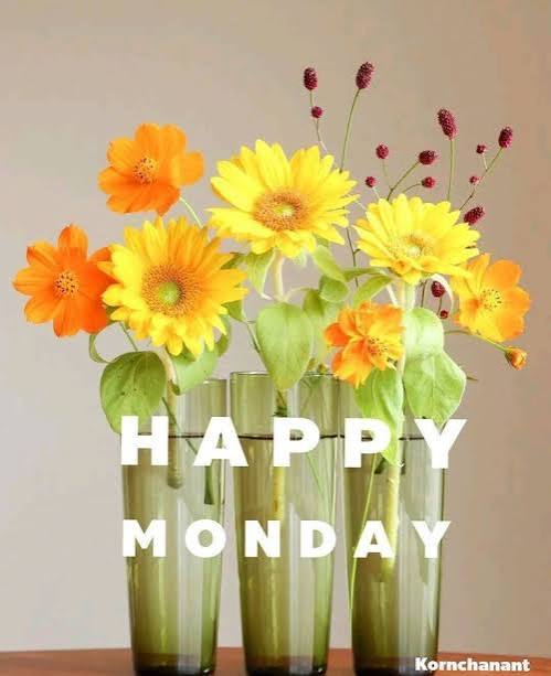 Happy Monday! May you have a bright and sunny day today! 🌞