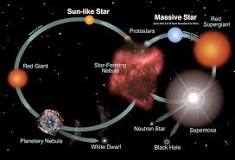 Image result for course hero why do more massive stars have a smaller radius than less massive stars?
