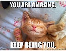 40 Top Encouraging Meme To Motivate You