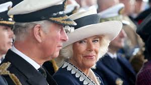 Prince Harry book: Duke of Sussex claims he and Prince William begged King  Charles not to marry Camilla