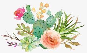 Free download | green leafed plants, plant vine rose flower, bushes transparent background png clipart. Fleshy Cactus Flowers Png Clipart Bloom Cactus Cactus Clipart Fleshy Fleshy Cactus Flowers Free Png Download