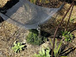 Easy diy fabric patio shade canopy. 34 Diy Garden Shade Cloth Greenhouse Consider Your Region And The Type Of Plants That You Should Shade It Will Be Idea Shade Garden Outdoor Shade Diy Garden