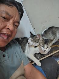 CATS and DOGS RESCUE PHILIPPINES