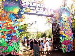 Sitg Concert Gate Splendour In The Grass Byron Bay Splendour In The Grass Grass Festival