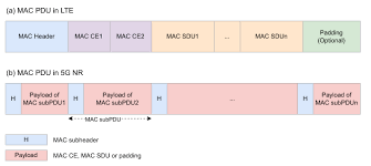 A mac pdu subheader corresponding to padding consists of the four header fields r/f2/e/lcid. 5g Nr Mac Pdu