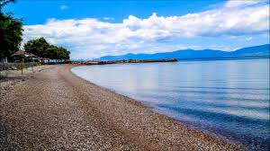 Maybe you would like to learn more about one of these? Paralies Malesinas 8eologoy Youtube