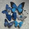 Product title 12pcs butterfly hair clips hair claw clamps hairpin. 1