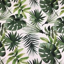 Deve Tabani Cicegi Dijital Baski Kumas Isimli Urunumuzu Sitemizden Satin Alabilirsiniz En 140 Cm Metresi 30 Fon Perde Canta M Tablolar Dosemelik Kumaslar Kumas