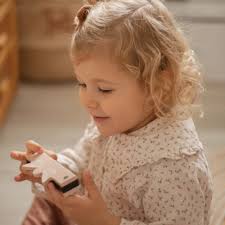 Label Label Wooden Harmonica