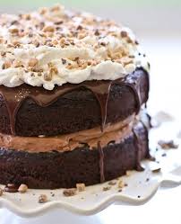 Chocolate Mousse Crunch Cake Our Best Bites Recipe Crunch Cake Chocolate Crunch Decadent Chocolate Cake