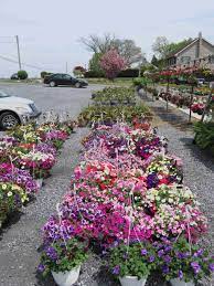 We hope it will help you to learn more about our area and to explore the many attractions and things to do for all ages throughout lancaster. Leabrook Flowers 2348 Leabrook Rd Lancaster Pa 17601 Usa