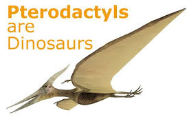 Pterodactyls Are Dinosaurs Don T Believe That Pterodactyl Dinosaur Common Myths